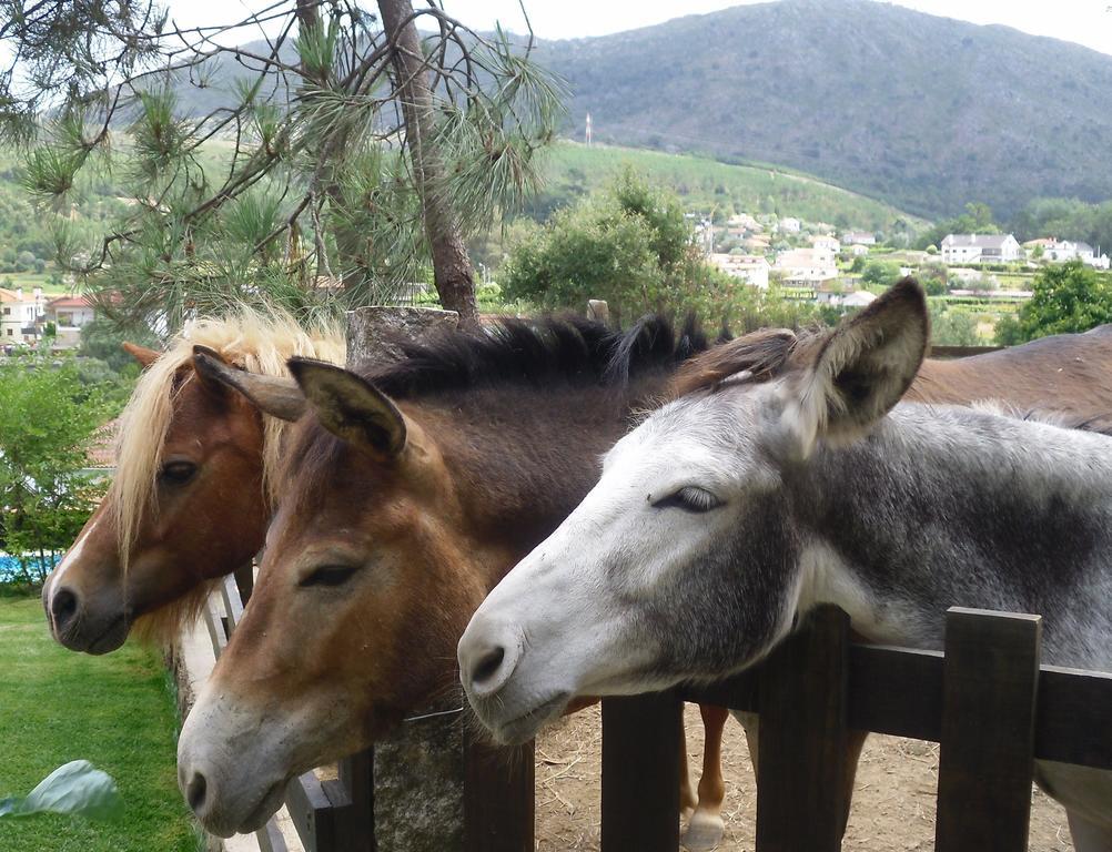 Alojamento de Turismo Rural Quintinha D'arga